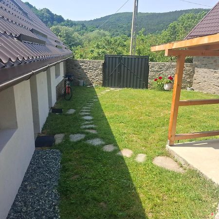 Вілла Casa Noua Саска-Монтана Екстер'єр фото