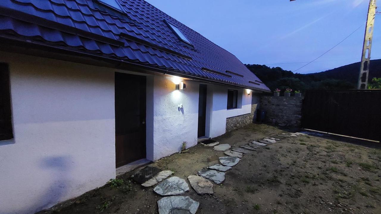 Вілла Casa Noua Саска-Монтана Екстер'єр фото