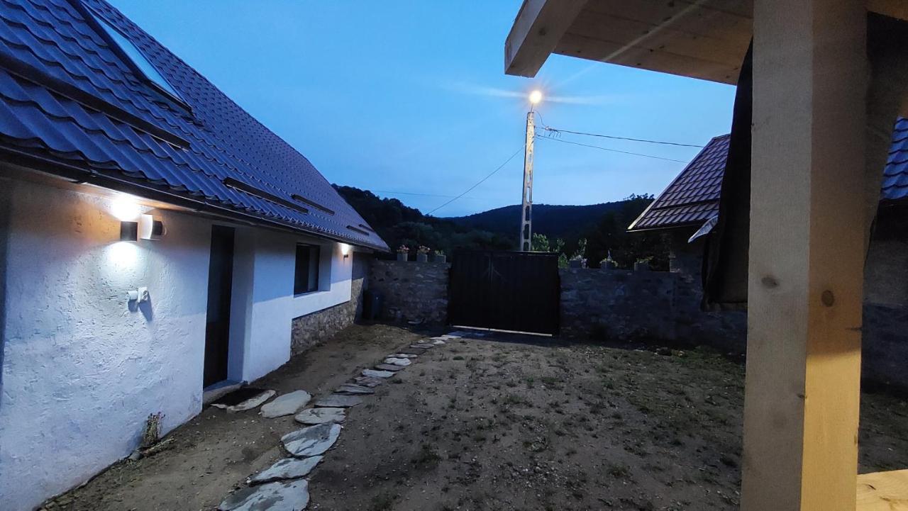 Вілла Casa Noua Саска-Монтана Екстер'єр фото