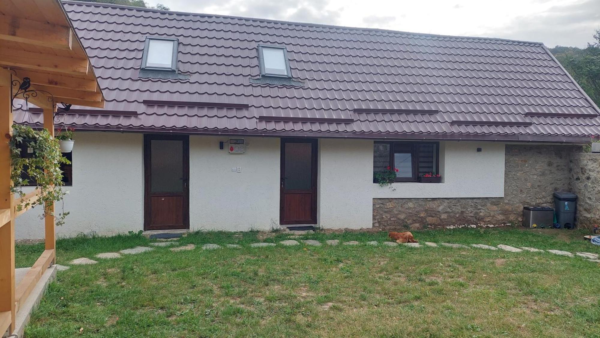 Вілла Casa Noua Саска-Монтана Екстер'єр фото