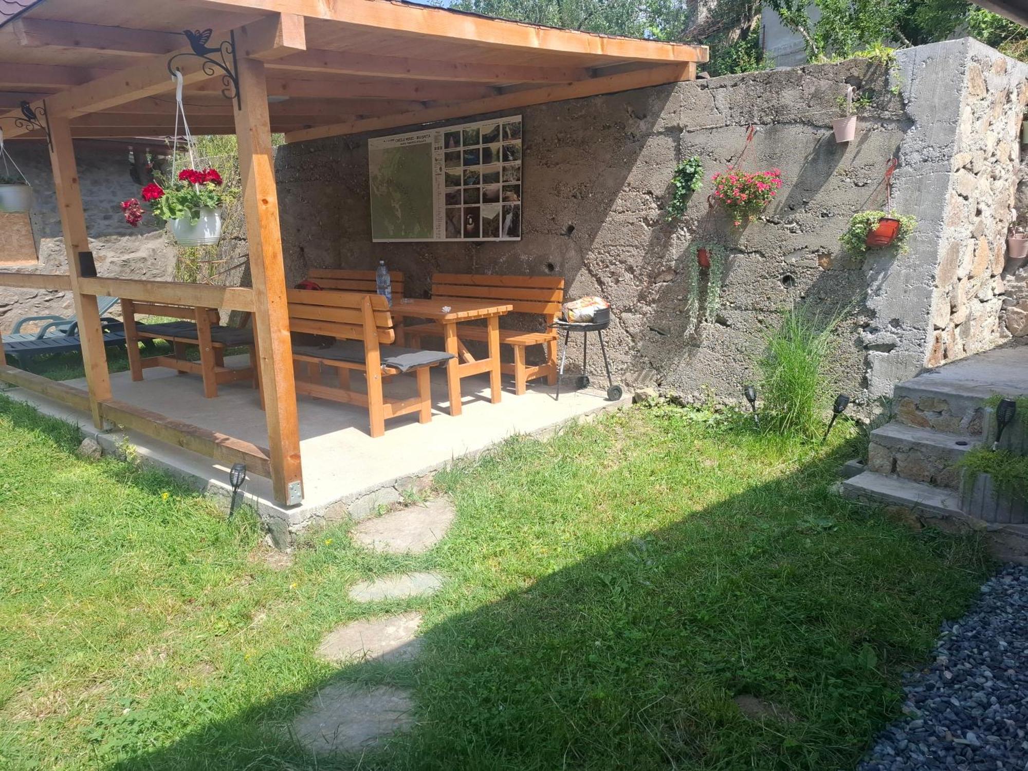 Вілла Casa Noua Саска-Монтана Екстер'єр фото