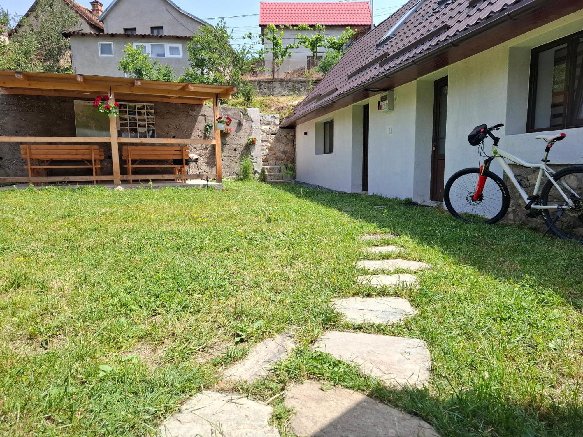 Вілла Casa Noua Саска-Монтана Екстер'єр фото
